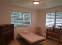 Sector El Verde - Camino al Yunque