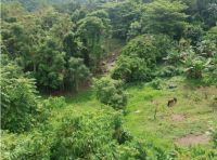 Sector El Verde - Camino al Yunque