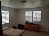 Sector El Verde - Camino al Yunque